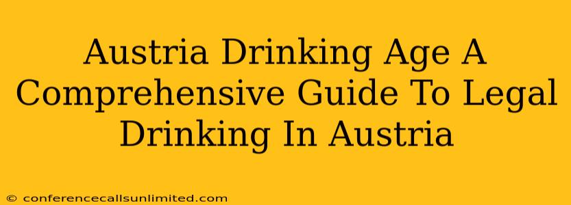 Austria Drinking Age A Comprehensive Guide To Legal Drinking In Austria