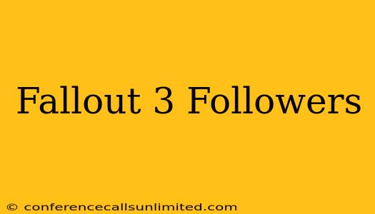 Fallout 3 Followers