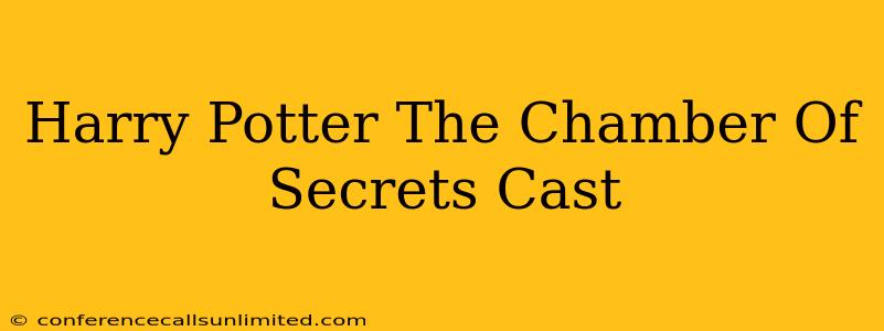 Harry Potter The Chamber Of Secrets Cast