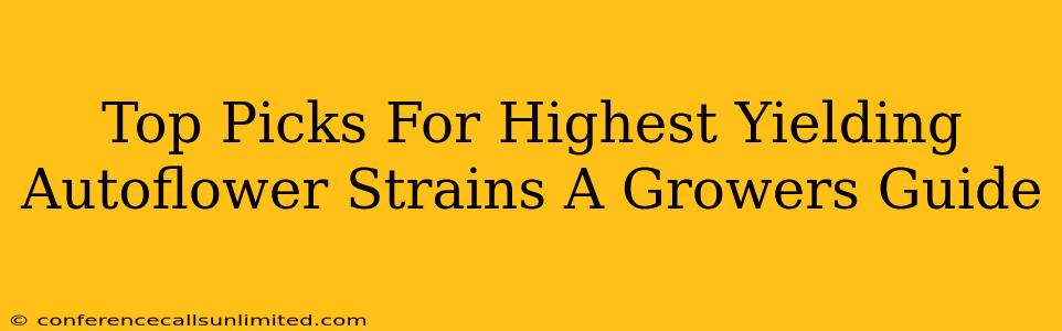 Top Picks For Highest Yielding Autoflower Strains A Growers Guide